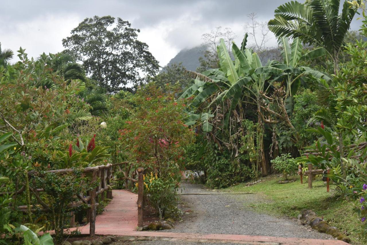 Hotel Roca Negra Del Arenal La Fortuna Ngoại thất bức ảnh