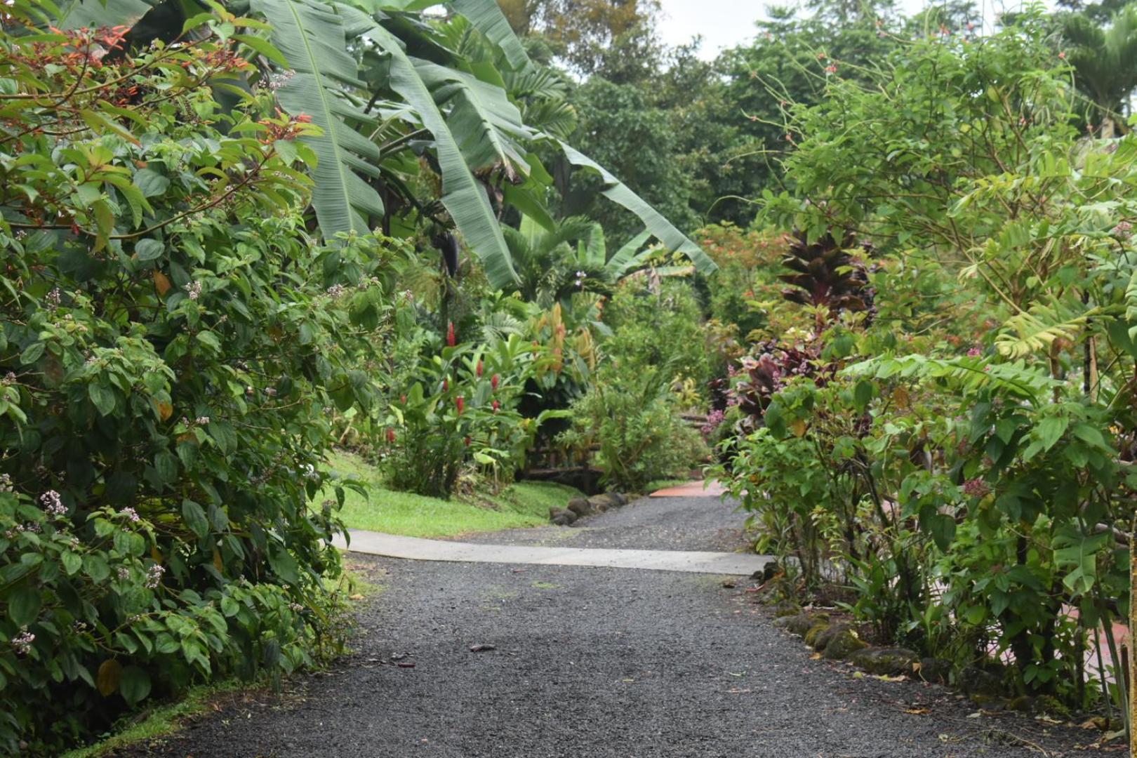 Hotel Roca Negra Del Arenal La Fortuna Ngoại thất bức ảnh
