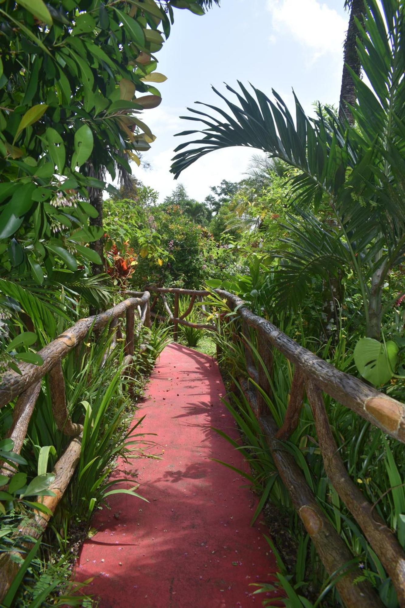 Hotel Roca Negra Del Arenal La Fortuna Ngoại thất bức ảnh