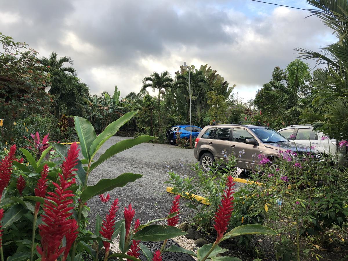 Hotel Roca Negra Del Arenal La Fortuna Ngoại thất bức ảnh